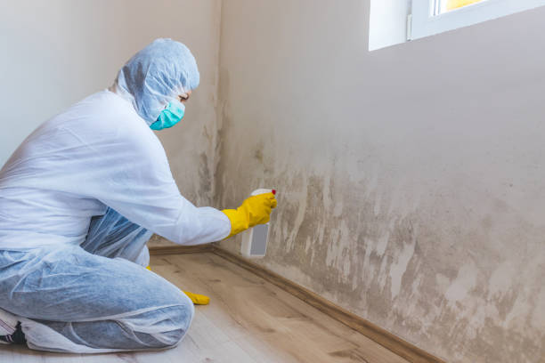 Licensed Mold Testing service in Dupont, PA - WQB Mold Removal