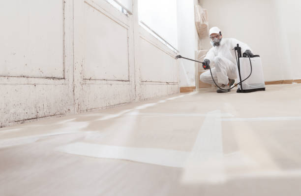24/7 Emergency Mold Testing experts in Dupont, PA