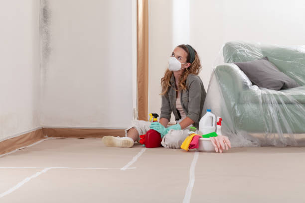 Reliable Mold Testing contractor in Dupont, PA by WQB Mold Removal