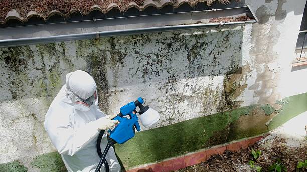 Top rated local Mold Testing specialists in Dupont, PA